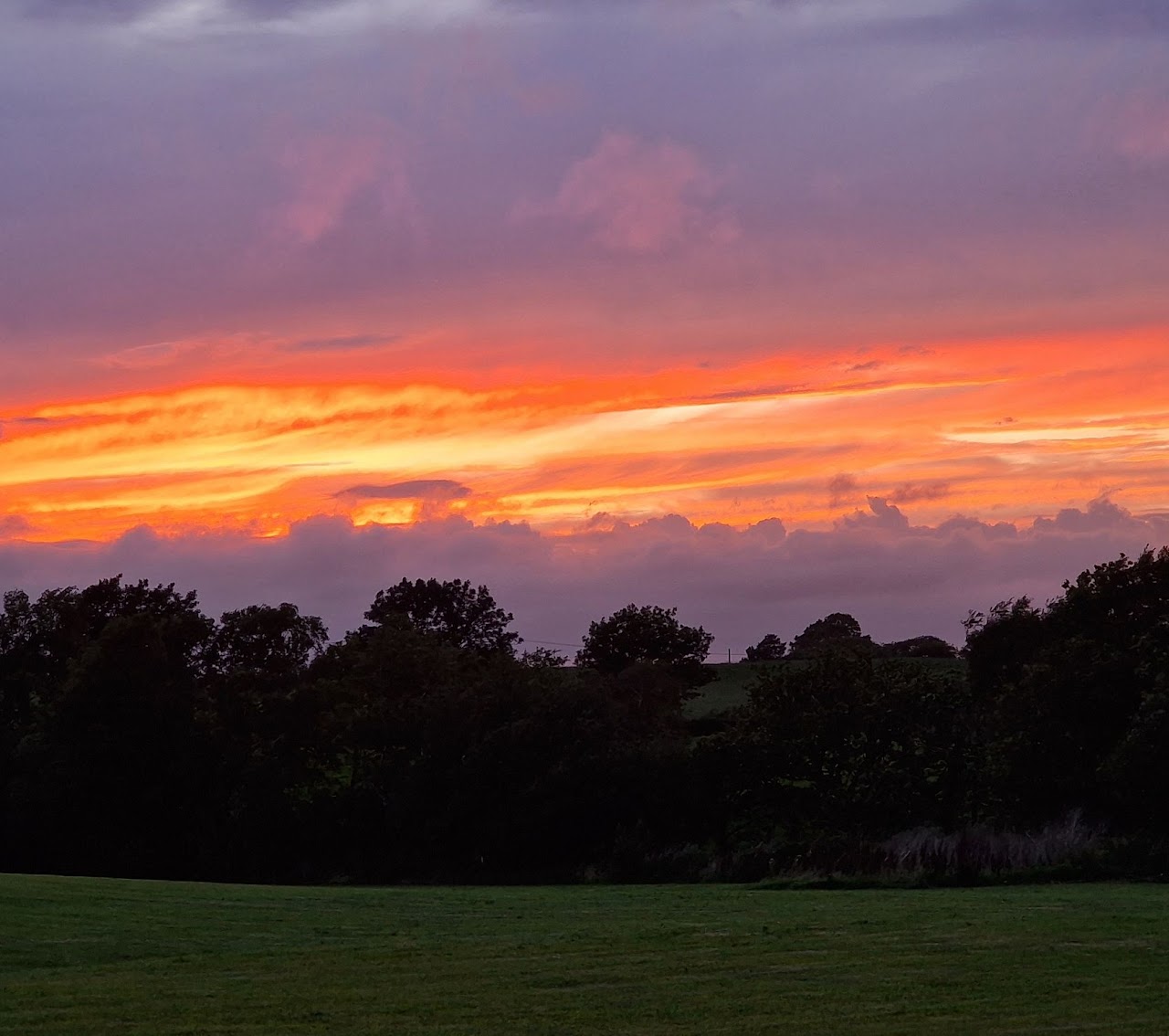 Local area